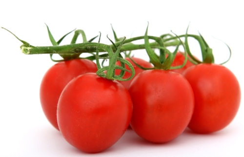 photo tomates
